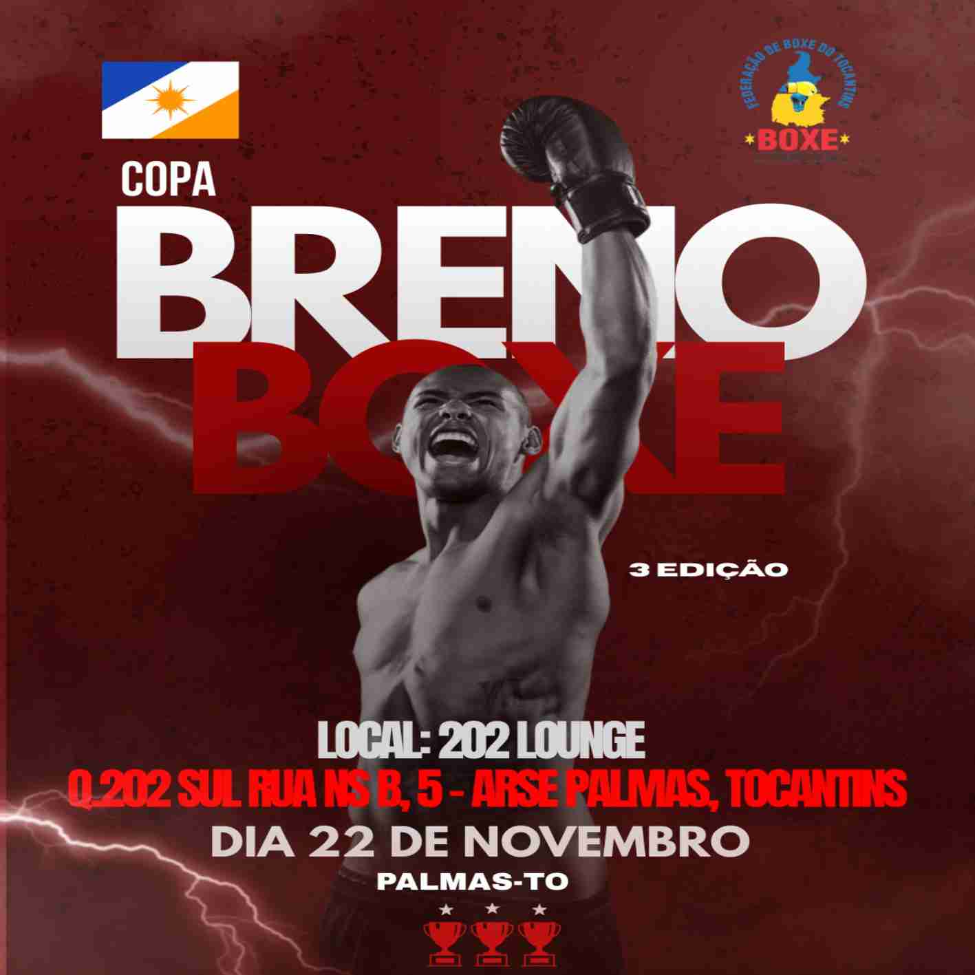 COPA BRENO BOXE